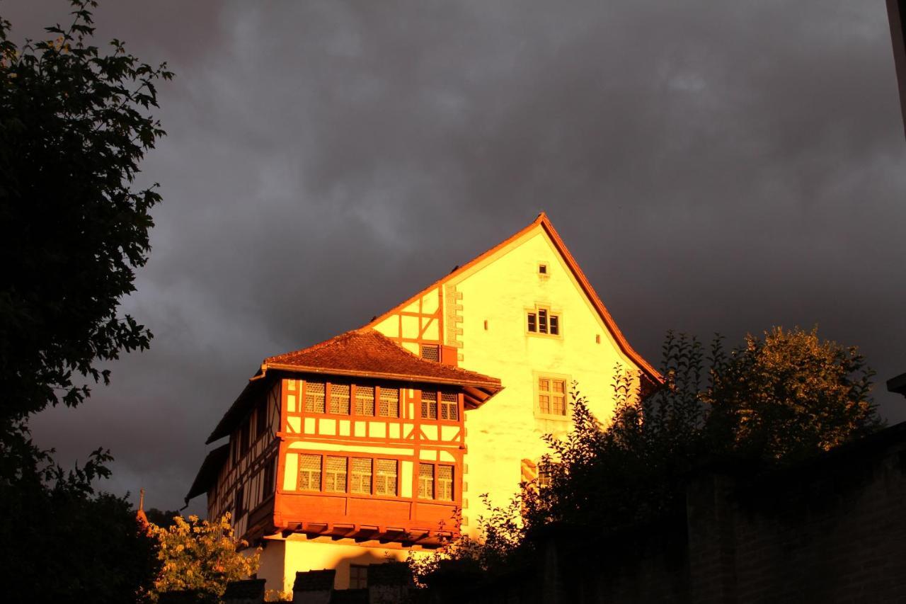 City-hotel Ochsen Hotel 4*